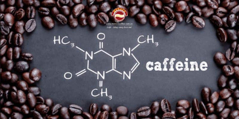 caffeine và công dụng đối với sức khoẻ
