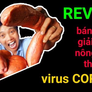 Bánh mì Thanh Long giải cứu nông dân thoát virut Corona || MS7 Vlogs