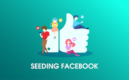 seeding-facebook-hieu-qua-2.png