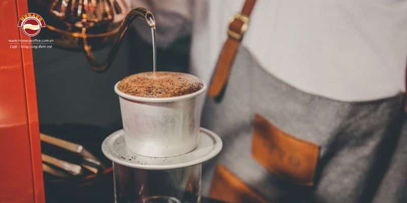 hướng dẫn cách pha cà phê robusta
